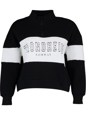 FRM Kadın Büyük Beden Moda Regular Dik Yaka Düşük Kol Regular Fermuarlı Kalın Şardonlu Örme Sweatshirt