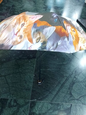 Es Dekor London Manuel Şemsiye Kadın Aksesuar Rüzgara Ters Dönmeye Dayanıklı 1 Adet