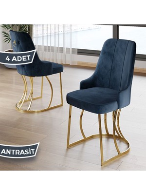 Canisa Puva Serisi 4 Adet Sandalye Babyface Ithal Kumaş Gold Metal Ayaklı
