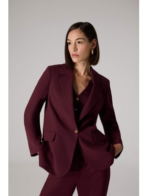 DeFacto X Sorbe Regular Fit Ceket Yaka Düğmeli Blazer Ceket D9924AX24AU