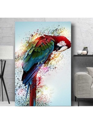 Limitless Design Parrot Dekoratif Hd Baskı Kanvas Tablo