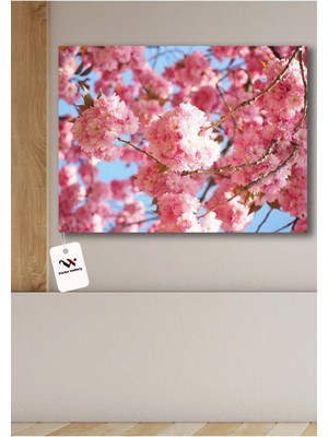 Limitless Design Pudra Pembe Kanvas Duvar Tablo