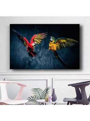 Limitless Design Parrot Dekoratif Hd Baskı Kanvas Tablo