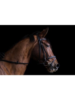 Limitless Design Kahverengi At-Brown Horse Hd Baskı Kanvas Tablo