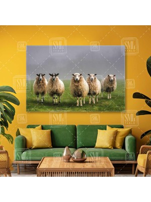Sml Tablo Poz Veren Sevimli Beyaz Koyunlar Doğa Sisli Manzara Yatay Kanvas Tablo