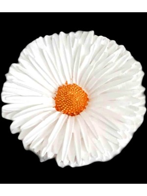 Morlalem 11cm Büyük Kasımpatı Çiçek Silikon Kalıp K-372, Polyester Taş Tozu Alçı Mum Kalıbı