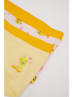 DeFacto Kız Çocuk Looney Tunes 2'li Boxer C4936A824AU