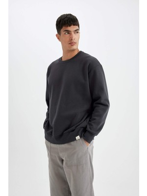 Defacto Erkek Sweatshirt Antrasit T5139AZ/AR191