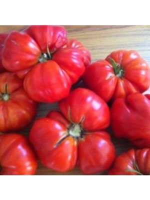 Tohumcumm Çok Iri Oturak Pembe Domates Tohumu (10 Adet)