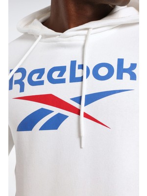 Reebok Rı Ft Big Logo Oth Hood Gri Erkek Sweatshirt