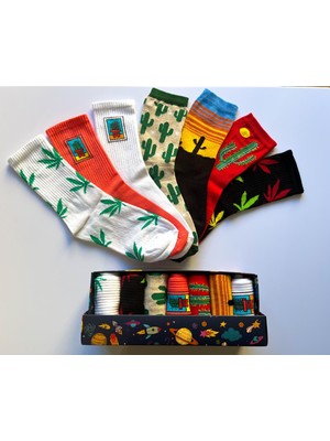 Socks And More Kaktüs Bitki Desenli Renkli 7'li Çorap Kutusu Unisex Renkli