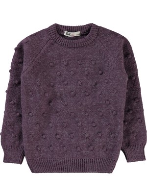 Civil Girls Kız Çocuk Kazak 2-5 Yaş Mor