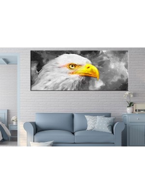 Miyrem Exclusive Serie" Şahin Kanvas Tablo