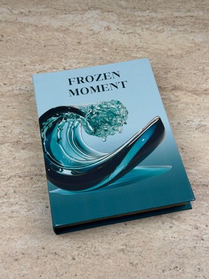 Frozen Moment Kitap Kutu (K)