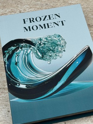 Frozen Moment Kitap Kutu (K)