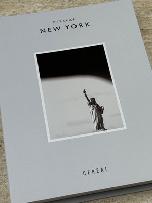 New York Kitap Kutu (B)