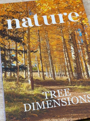 Nature Kitap Kutu (B)