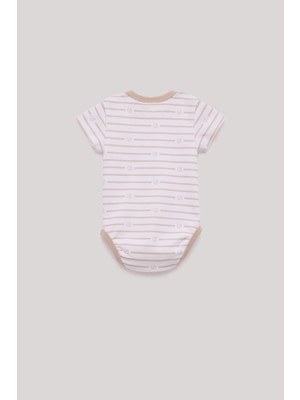 Layette Bg Store Kız Bebek Renkli Body