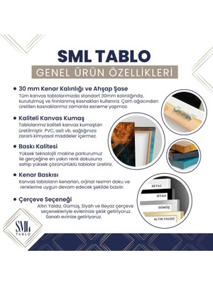 Kapadokya Nevşehir Türkiye Balon Turu Manzara Doğa Tur Çerçeveli Yatay Kanvas Tablo