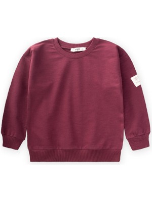 Cigit Kolu Etiket Detaylı Sweatshirt 2-10 Yaş Bordo