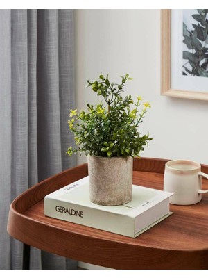 Eglo 428025 "chıtose" Kahverengi, Yeşil Dekoratif Saksıda Bitki 25CM Yüksekliğinde 15CM Çapında