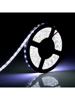 Ledarmy 5metre LED Şerit 5050 DC12V 6500K Soğuk Beyaz (60LED/M) IP65 Işık Aydınlatma Lambası Hortum Kendinden Yapışkanlı