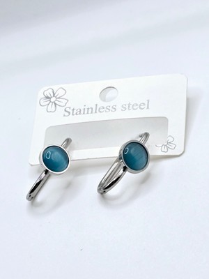 Stainless Steel Taş Detaylı Çelik Küpe