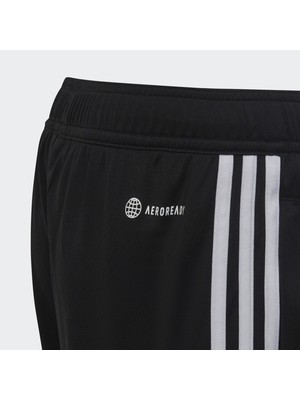 Adidas Performance HS3623 Tiro 23 Club Training Shorts