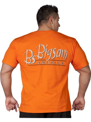 Ince Pamuk Yazlık T-Shirt Big Sam 2579