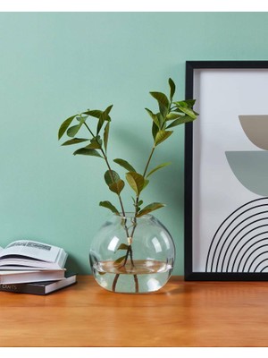 Eglo 421241 "marosava" Şeffaf Cam Vazo 17CM Yüksekliğinde