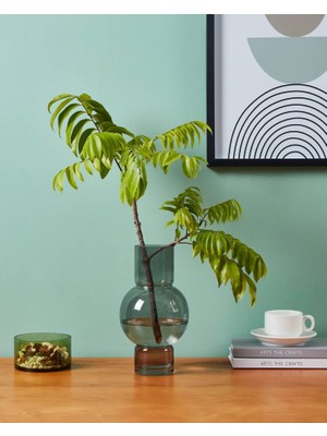 Eglo 421231  28 cm  15,5 cm Çapında Gri Cam Vazo