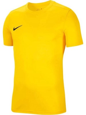 Nike Dry Park Vıı Jsy Ss Erkek Tişört BV6708-719