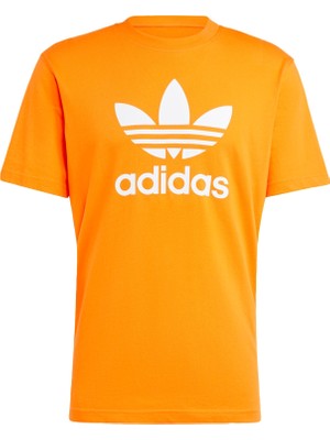 Adidas Originals IR8000 Adicolor Trefoil Tee