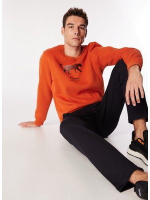 Discovery Expedition Koyu Turuncu Erkek Bisiklet Yaka Relaxed Fit Baskılı Sweatshirt D4WM-SWT3247