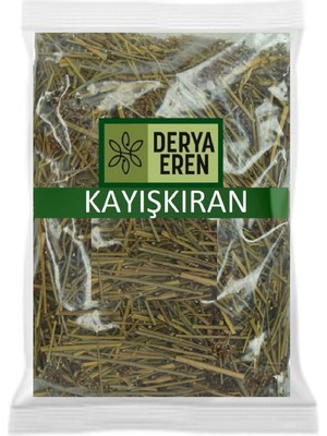 Derya Eren Kayışkıran Otu Kayış Kıran 100 gr