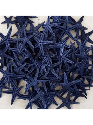 Tahtakale Toptancı Naturel Deniz Yıldızı Minik Boy  1.5  cm  -3  cm  (100 Adet)  Mavi