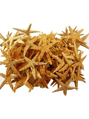 Tahtakale Toptancı Deniz Yıldızı Natural 4  cm  - 6  cm  (100 Adet)