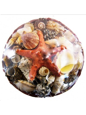 Kırmızı Sepet Içi Kabuk 20  cm