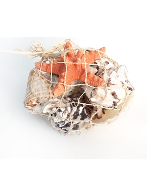 File Sepet Kabuk Küçük