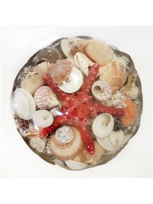 Sepet Içi Kabuk -12