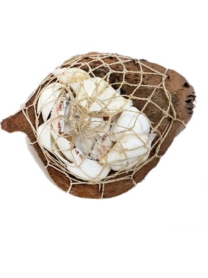 Coco Sepet Kabuk Beyaz Kabuk Yıldızlı