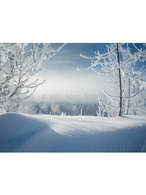 Venspor Masalsı Karlar Altında Kış Manzarası Arka Plan Stüdyo Fonu 200X150CM