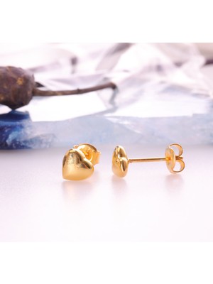 Nox Jewelry 925 Ayar Gümüş Minimal Kalp Temalı Küpe - E00249