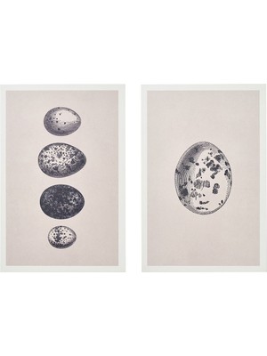 Duvar Dekorasyonu, Çok Renkli, 20X30 Cm, 2 Adet, Yumurta