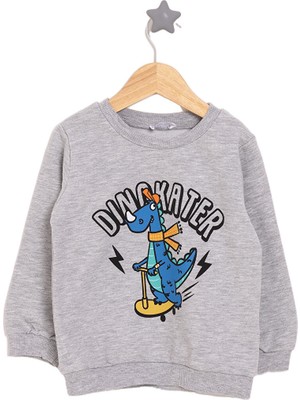 HelloBaby HelloBaby Basic Az Şardonlu Dinokater Desenli Sweatshirt Erkek Bebek