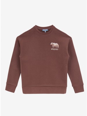 Discovery Expedition Bisiklet Yaka Baskılı Kahve Erkek Çocuk Eşofman Üstü D4WB-SWT3118