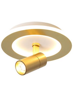 Xinhang LED Circular Ceiling Light With Spotlights, 20W Cold White Light, Luxurious Gold Ceiling Light For Living Rooms, Bedrooms (Yurt Dışından)