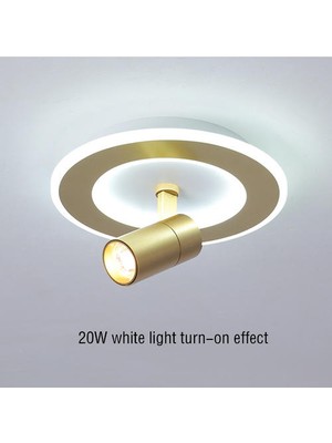 Xinhang LED Circular Ceiling Light With Spotlights, 20W Cold White Light, Luxurious Gold Ceiling Light For Living Rooms, Bedrooms (Yurt Dışından)