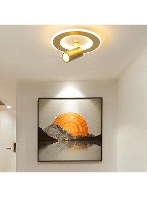 Xinhang LED Circular Ceiling Light With Spotlights, 20W Cold White Light, Luxurious Gold Ceiling Light For Living Rooms, Bedrooms (Yurt Dışından)