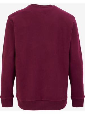 Discovery Expedition Mürdüm Erkek Bisiklet Yaka Relaxed Fit Sweatshirt D4WM-SWT3931